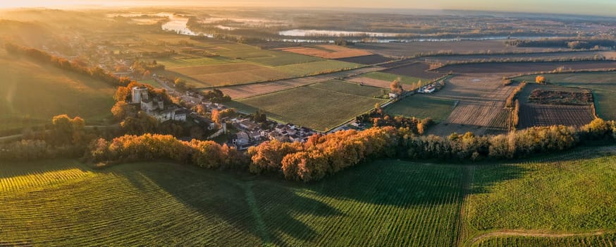 France, Gironde, Haut-Langoiran, Aerial view of the vineyard and wooded areas of Chateau de Langoiran in the Bordeaux vineyards at sunrise
