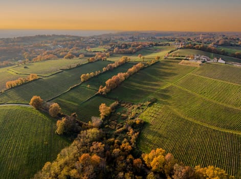 France, Gironde, Tabanac, Aerial view of the vineyard and wooded areas of Chateau le Pic in the Bordeaux vineyards at sunset. High quality photo