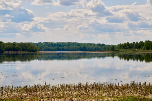 A serene and tranquil lake scene featuring beautiful reflections, lush greenery, and fluffy white clouds above