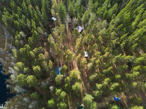 An absolutely stunning aerial shot capturing a breathtaking lush green forest with charming cabins and serene water