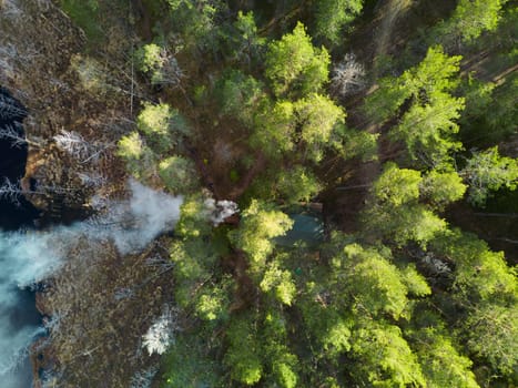 Stunning aerial view showcasing a dense forest and a tranquil water source, highlighting nature's beauty.