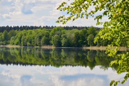 A tranquil lake beautifully reflecting vibrant green trees and a calm sky, providing a serene escape