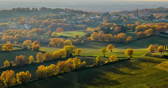 France, Gironde, Tabanac, Aerial view of the vineyard and wooded areas of Chateau le Pic in the Bordeaux vineyards at sunset. High quality photo