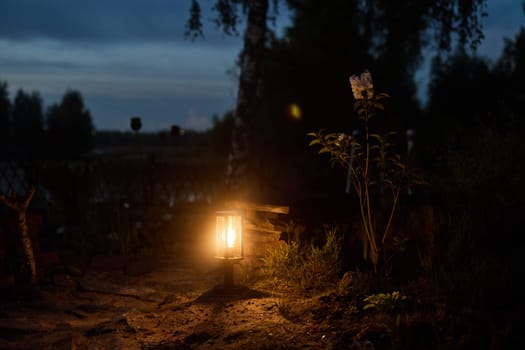 A serene and tranquil twilight scene features a softly glowing lantern nestled beside a delicate flower in bloom