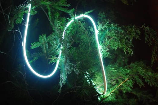 An absolutely mesmerizing display of vibrant neon light trails weaving through lush greenery during the night