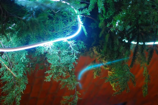 A mesmerizing and enchanting night scene showcases glowing light trails gracefully intertwined with vibrant greenery