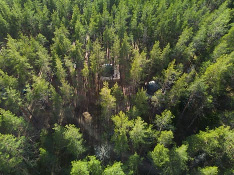 An absolutely stunning and captivating aerial perspective showcasing a dense green forest interspersed with clearings