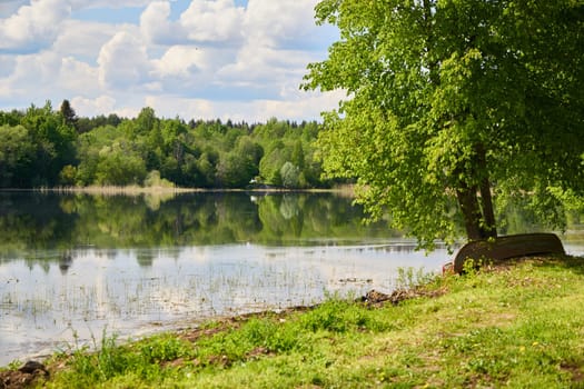A serene and tranquil lakeside scene showcasing vibrant trees reflecting beautifully in the calm water