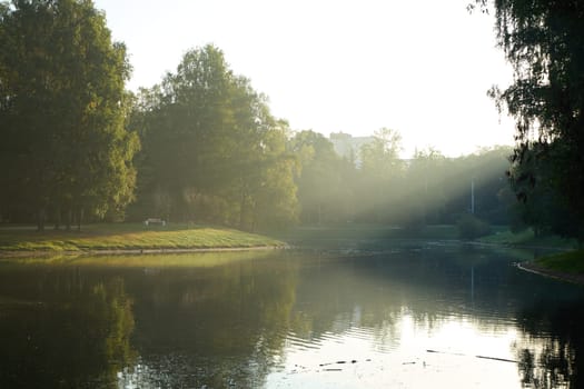 On a peaceful morning, mist hovers over a calm lake, framed beautifully by lush greenery all around