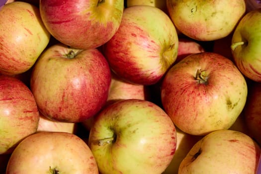 A vibrant mix of fresh red and green apples, perfect for food photography or healthy lifestyle themes.
