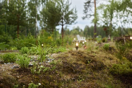 A beautifully peaceful garden landscape that showcases lush greenery, soft light, and a wonderfully serene atmosphere