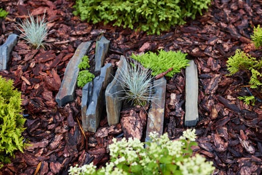 A picturesque and serene garden scene featuring smooth stones and lush greenery enveloped by rich mulch