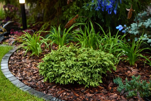 A vibrant and colorful garden scene featuring a variety of ornamental plants, along with wellmaintained mulch