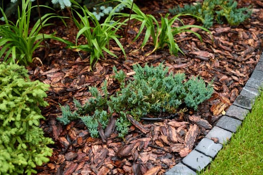 A peaceful and picturesque garden scene showcasing lush greenery along with beautifully arranged decorative mulch