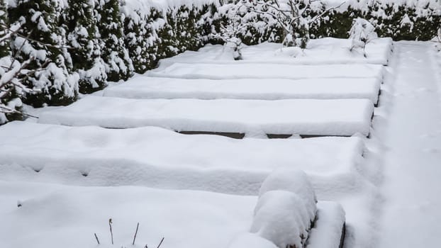 Winter vegetable garden with raised beds covered with snow. High quality photo