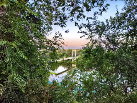 A peaceful river flows beneath a bridge, surrounded by vibrant trees and bushes, with a soft sunset in the background.