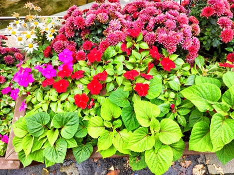 Colorful collection of flowers in red and pink hues arranged with lush green leaves, set near a tranquil waterway during autumn.