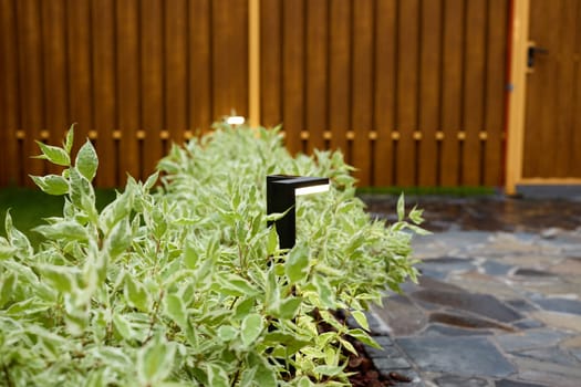 An elegant and sophisticated garden featuring decorative foliage paired with stylish and ambient pathway lighting