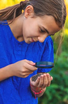 A child looks at the soil through a magnifying glass. Selective focus. Kid.
