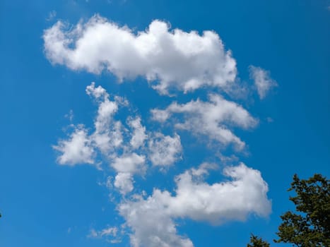 blue gray d Blue sky, white clouds, trees background weather nature air atmosphere. Landscape High quality photo