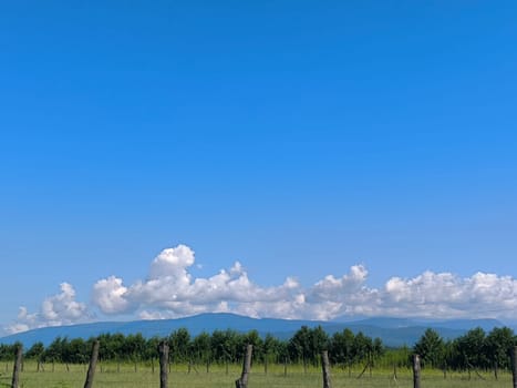 blue sky, white clouds, green trees grass background weather nature air atmosphere. Landscape High quality photo