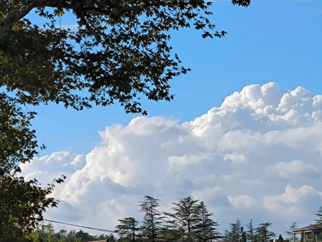 blue sky, white clouds, green trees grass background weather nature air atmosphere. Landscape summer. High quality photo