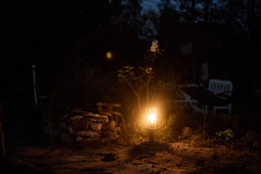 A tranquil and peaceful night scene depicting a glowing lantern nestled among lush greenery surrounding it