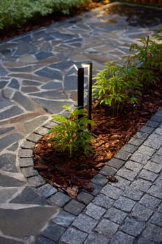A serene landscaped pathway featuring sleek lighting and vibrant plants, perfect for outdoor ambiance.