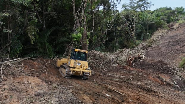 salvador, bahia, brazil - december 3, 2024: deforestation area of ​​an Atlantic Forest requires construction of a light rail vehicle in the city of Salvador.