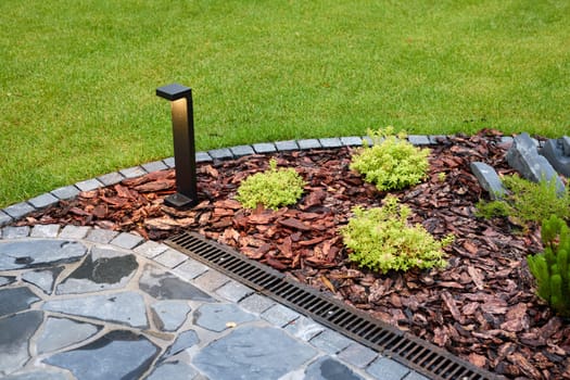 An elegant outdoor light source brilliantly illuminating a modern garden filled with vibrant plants and stones