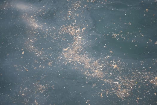 Sea water pollution with garbage.
