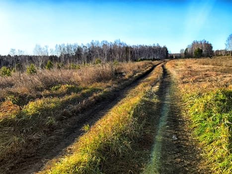A tranquil dirt path extends through an expansive field adorned with colorful autumn foliage beneath a clear blue sky.
