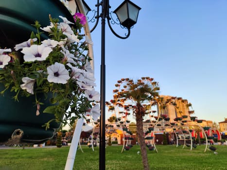 Colorful flowers are foregrounded with a ferris wheel and palm trees as the sun sets in the park.