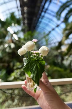 A hand cradling a delicate arrangement of white flowers and green leaves in a vibrant tropical background
