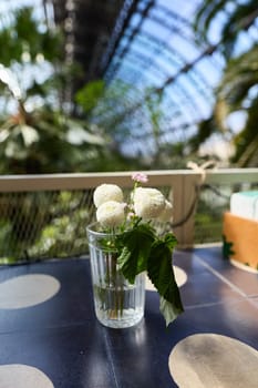 A serene arrangement of white flowers in a glass vase, set against a lush, vibrant botanical backdrop