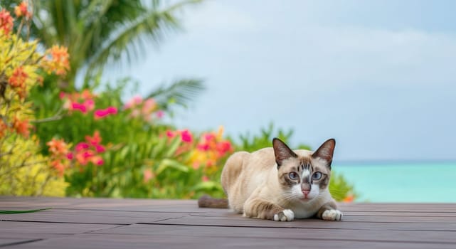 Siamese cat lying on a wooden deck overlooking a tropical ocean, surrounded by colorful flowers and lush greenery. the serene setting essence of relaxation and nature's beauty.