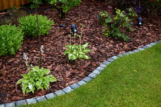 A vibrant garden scene with lush hostas, colorful mulch, and greenery in a peaceful, serene setting