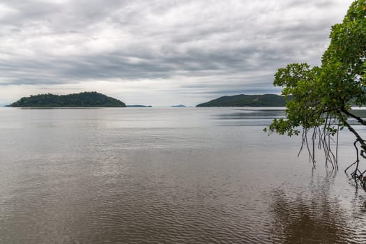 A tranquil and picturesque view of lush mangroves and serene islands on calm and clear waters under overcast skies