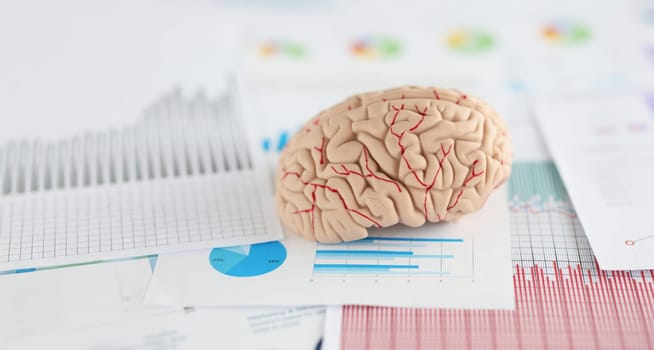 Mock up of a human brain on a table with business documents, close-up. Brainstorming concept, marketing