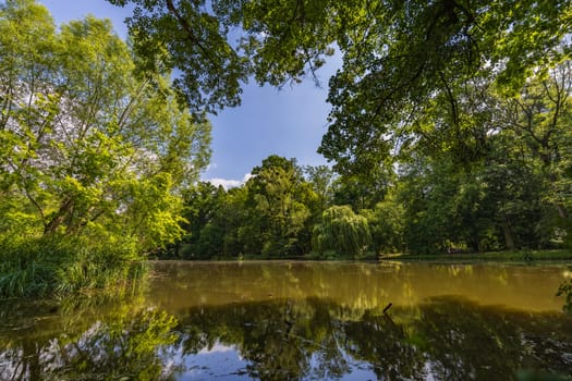 Beautiful and colorful park at sunny morning with blue sky with few clouds beautifully reflecting in big silent lake like in mirror