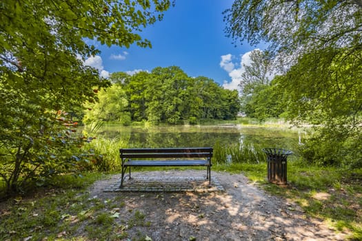 Old wooden bench in beautiful and colorful park at sunny morning with blue sky with few clouds beautifully reflecting in big silent lake like in mirror