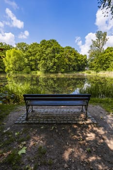 Old wooden bench in beautiful and colorful park at sunny morning with blue sky with few clouds beautifully reflecting in big silent lake like in mirror