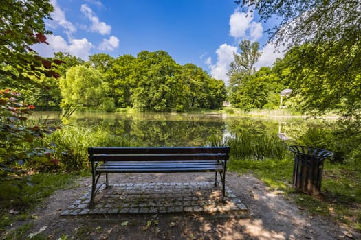 Old wooden bench in beautiful and colorful park at sunny morning with blue sky with few clouds beautifully reflecting in big silent lake like in mirror