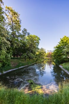 Beautiful park with dirty city moat with reflecting trees and sky on water surface at sunny day