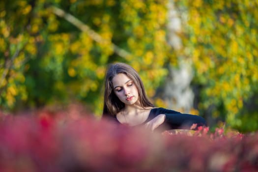 Portrait of a beautiful girl near a red-yellow bush in an autumn park