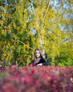 Portrait of a beautiful girl near a red-yellow bush in an autumn park