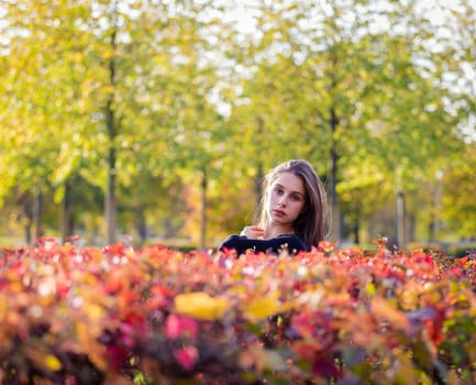 Portrait of a beautiful girl near a red-yellow bush in an autumn park