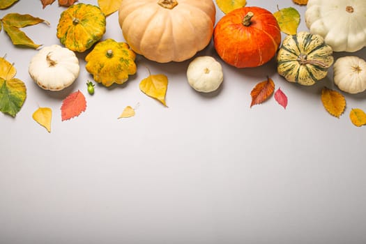 Thanksgiving or fall festive composition with different assorted pumpkins and autumn yellow leaves on light gray background top view. Copy space..