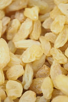 Closeup of golden raisins, which are a nutritious and sweet snack made from dried fruit