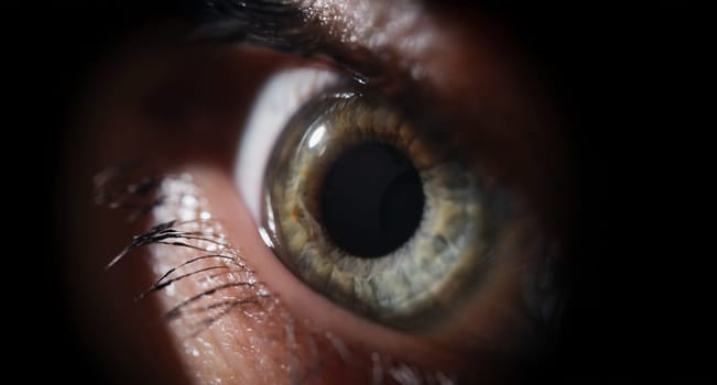 Female eye with eyelash macro photography, shadows. Scared woman look, close-up. Ophthalmology, green lens